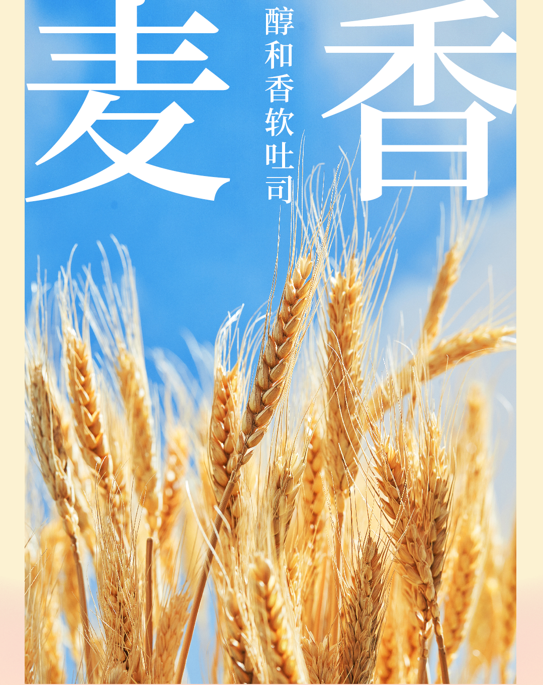 蒜香黃油推文_05.png